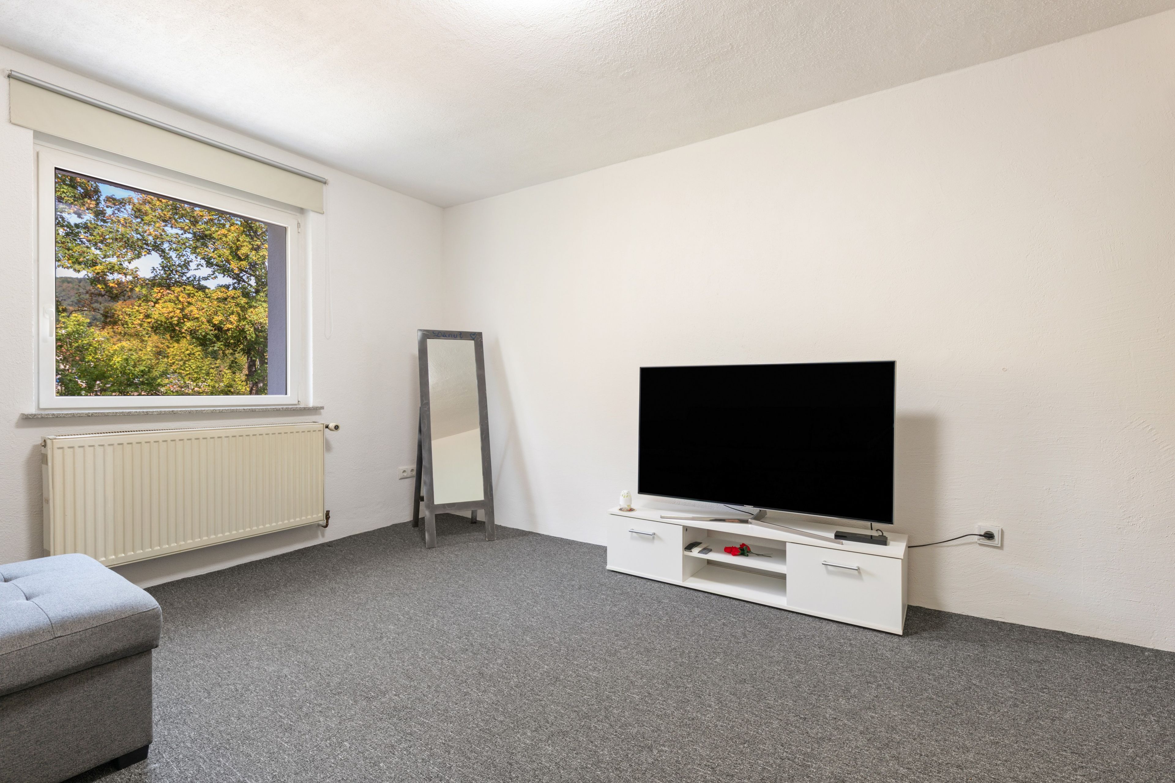 Une pièce avec une grande fenêtre, un radiateur, un téléviseur à écran plat posé sur un meuble, un miroir et un canapé gris.