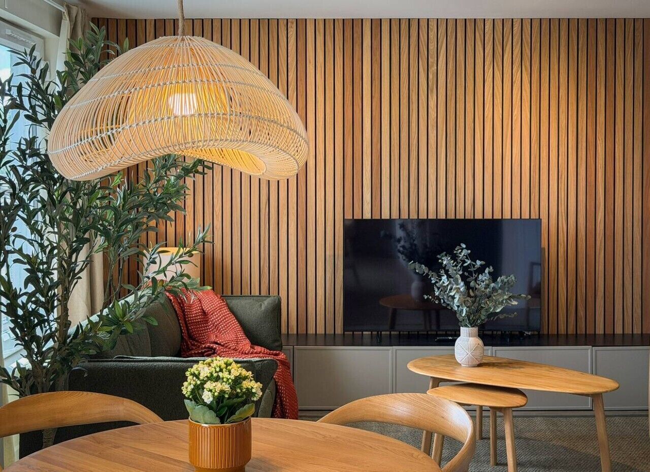 TV