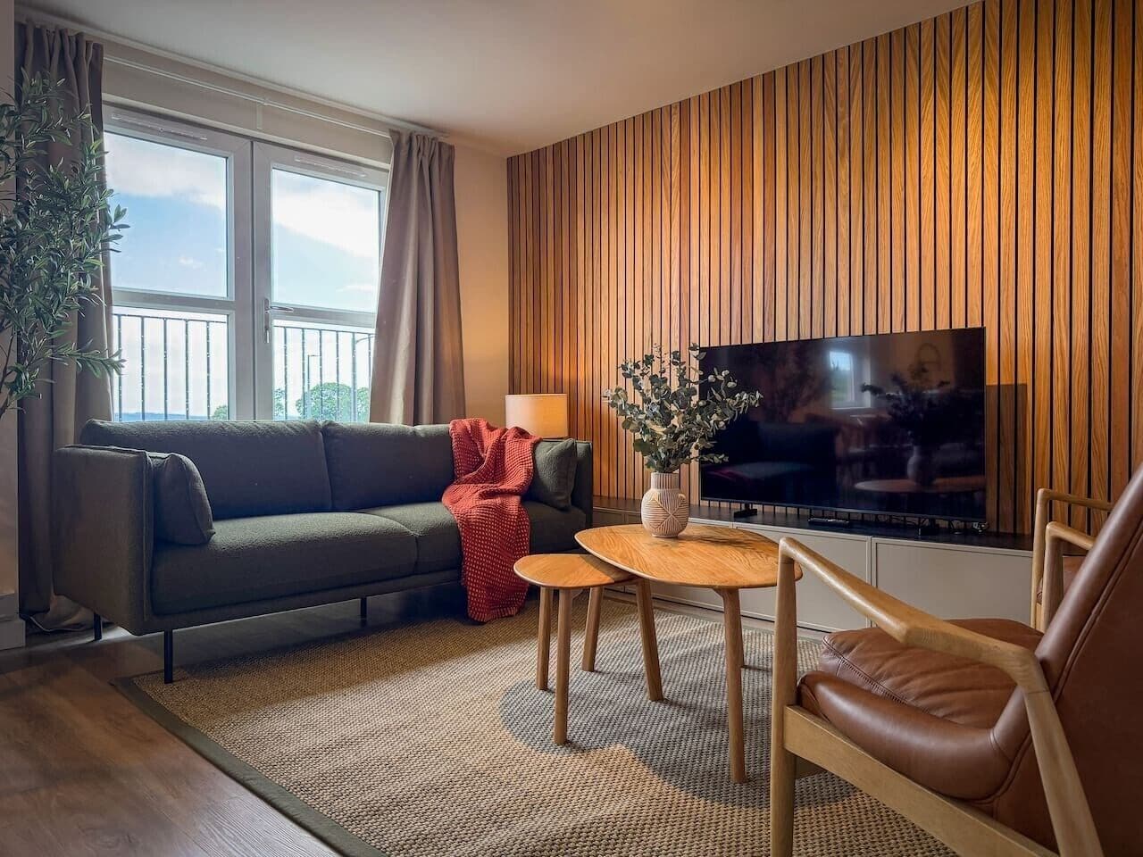 TV