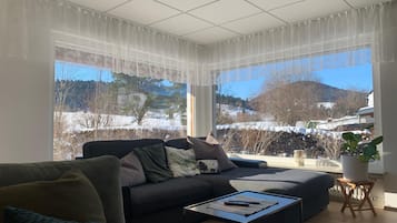 Fernseher, Kamin