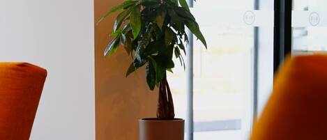 Una planta en maceta sobre un pedestal de madera, una silla y una ventana con vistas.