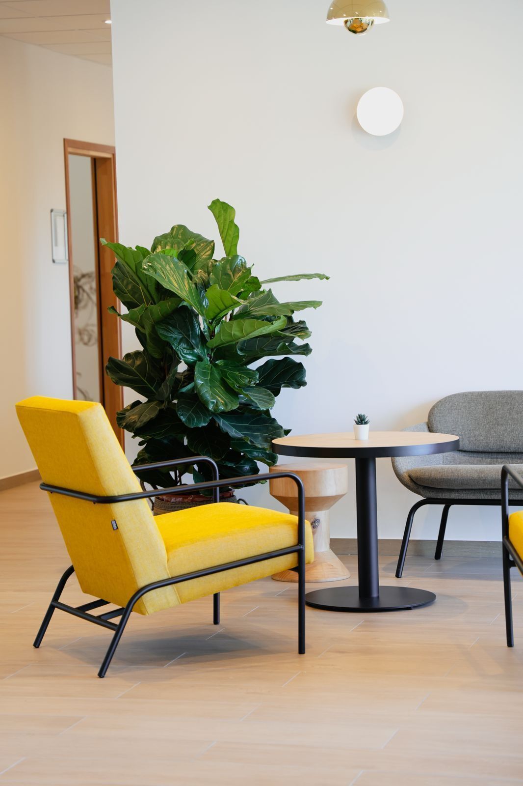 Een gele stoel, een grijze stoel, een ronde tafel en een grote groene plant in een kamer met een houten vloer en een witte muur.