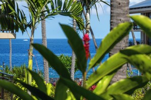 A view of the ocean with a sailboat, surrounded by palm trees and a building with balconies. - Kona Makai 3-102, Ocean View, Air Conditioning (Kailua Kona)