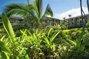 Ein Hotel mit mehreren Balkonen, üppiger tropischer Vegetation und blauem Himmel.