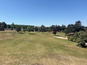 Ein grasbewachsenes Feld mit Bäumen und einem Gebäude in der Ferne.