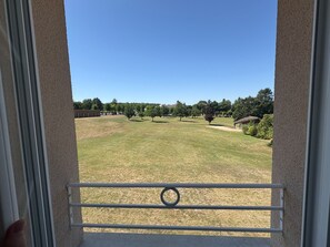 Blick durch ein Fenster mit einem Metallgeländer, einem Rasenbereich, Bäumen und einem Gebäude im Hintergrund.