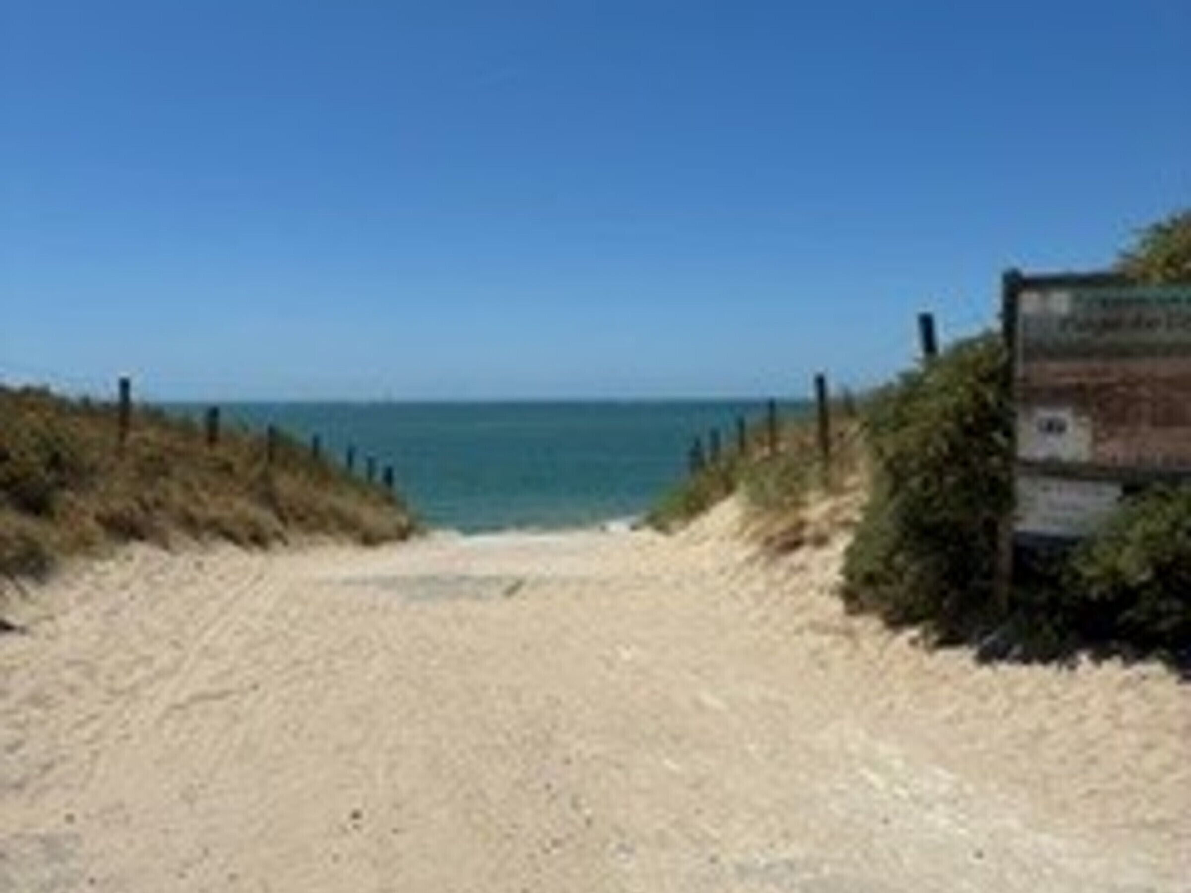海灘