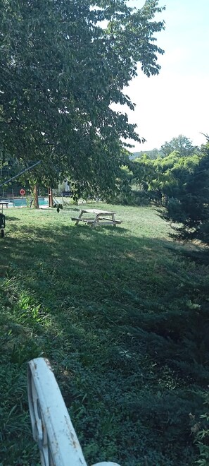 Eine begrünte Freifläche mit einem Picknicktisch und einem Baum.