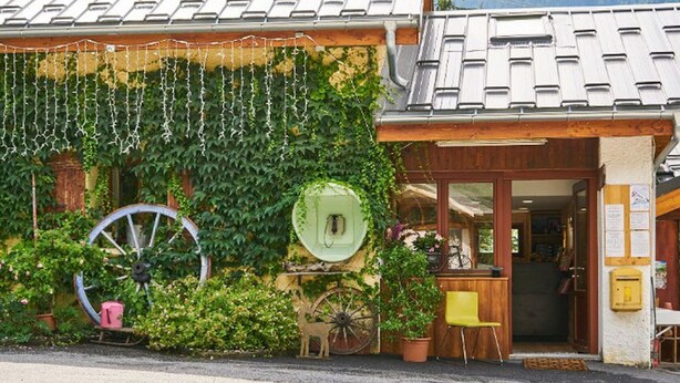 A rustic building with a green ivy-covered wall, a large wheel, and a wooden door.