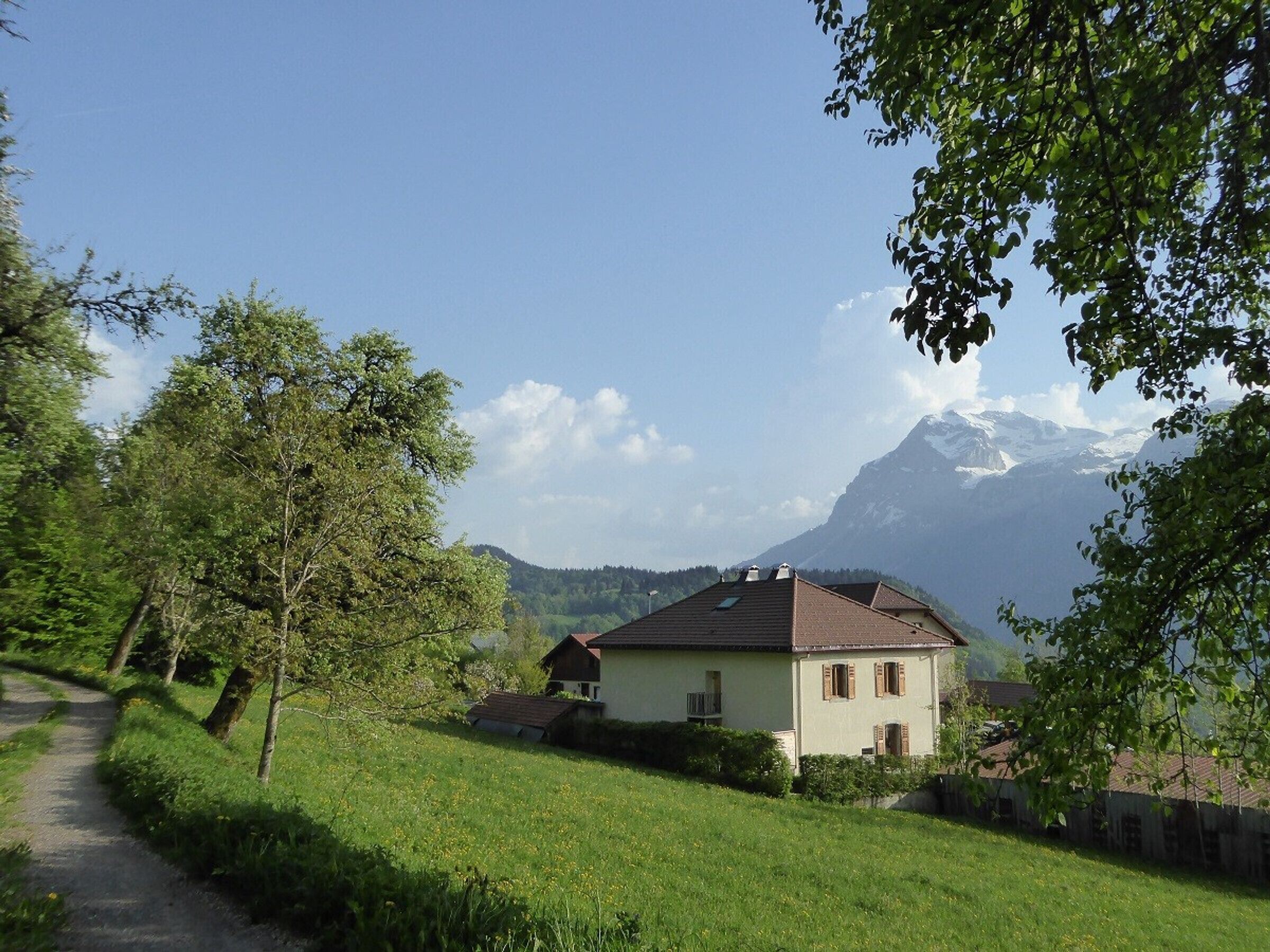 A house with a sloped roof, surrounded by a grassy area and trees, with a mountain in the background.