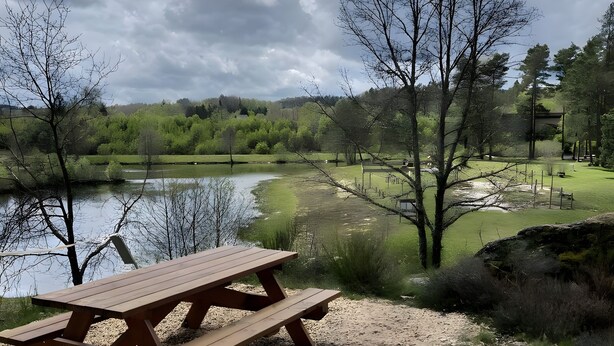 A picnic table by a lake with surrounding trees and a grassy area.
