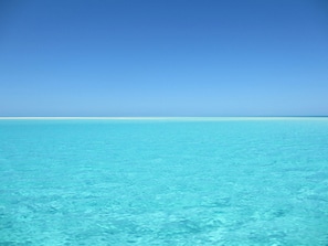 منوع