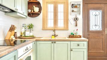 Fridge, oven, stovetop, electric kettle