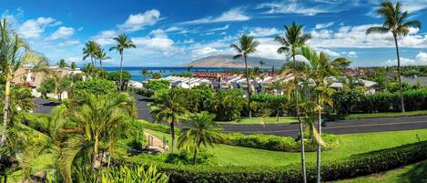 A coastal resort with multiple buildings, palm trees, and a clear view of the ocean.
