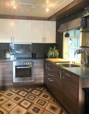 Microwave, oven, dishwasher, coffee/tea maker - Mountain cabin by ski trails in southern Blefjell (Kongsberg)