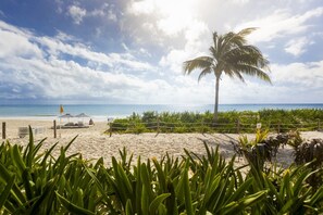 A beach with a palm tree, lounge chairs, and a fence. - Spiritum Marea, Oceanfront, Walkout Private Pool, Mareazul (Playa del Carmen)
