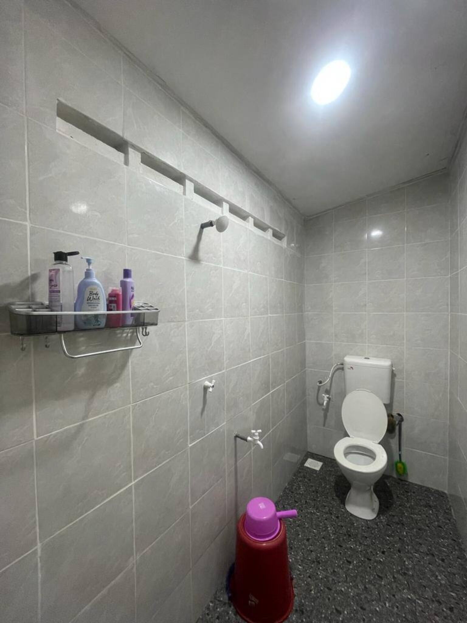 Shower, bidet, towels, soap