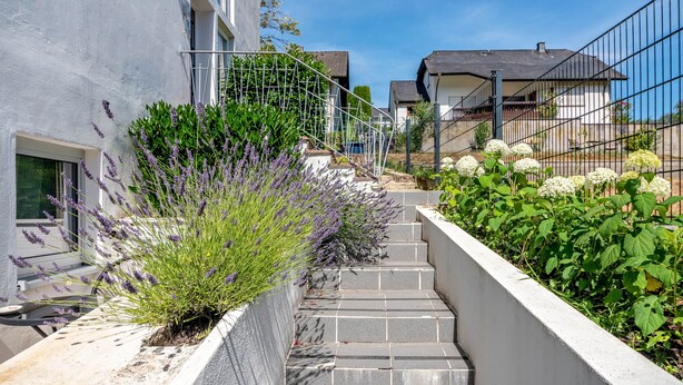 Un quartier résidentiel avec un étroit sentier menant à une maison dont on aperçoit l’escalier et qui est entourée d’une clôture en métal.
