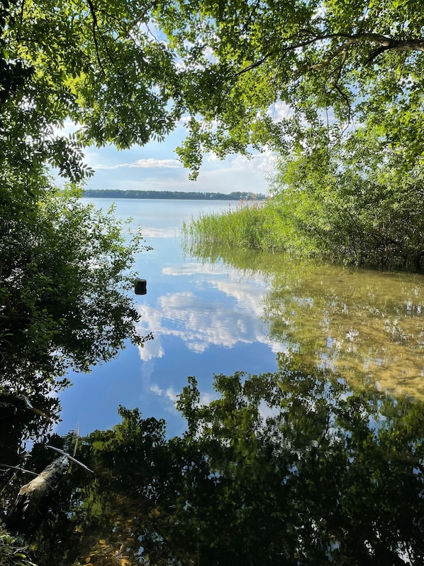 A calm lake surrounded by dense green foliage.