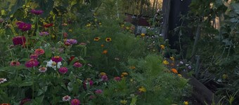 Jagdstube Holiday Apartment