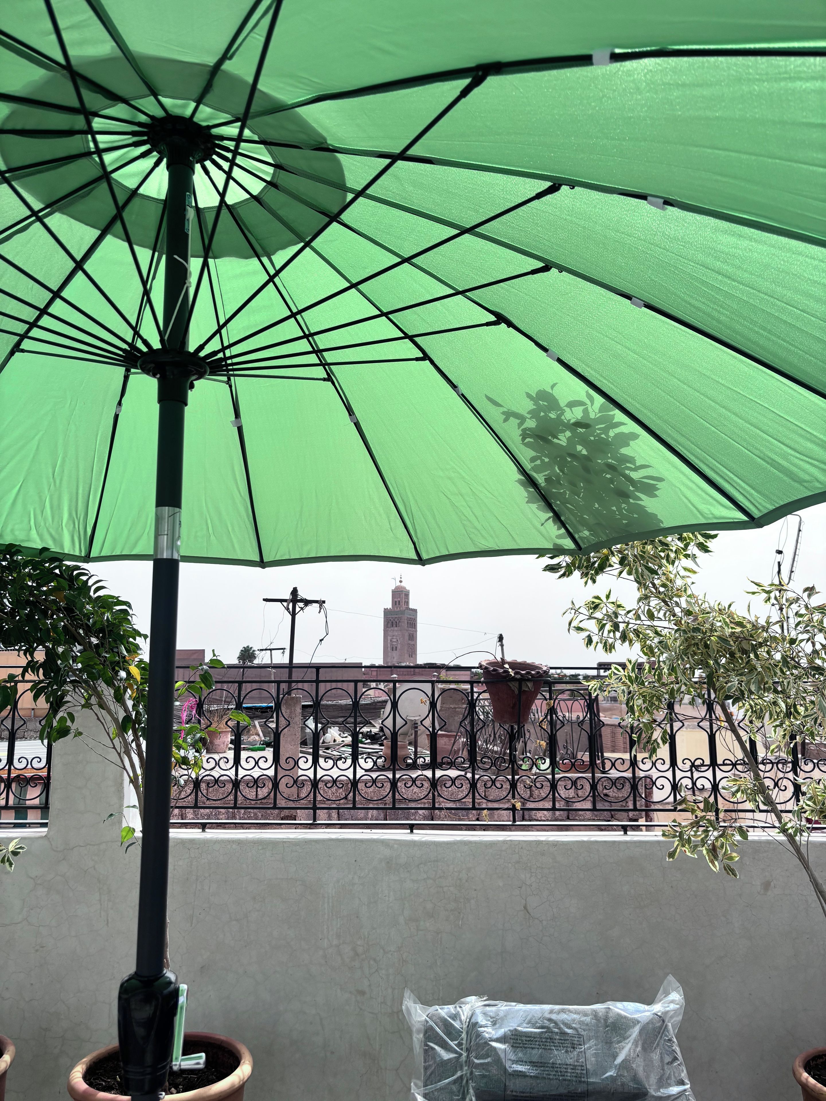 A green umbrella providing shade, a potted plant, and a view of a building with a tower in the background.
