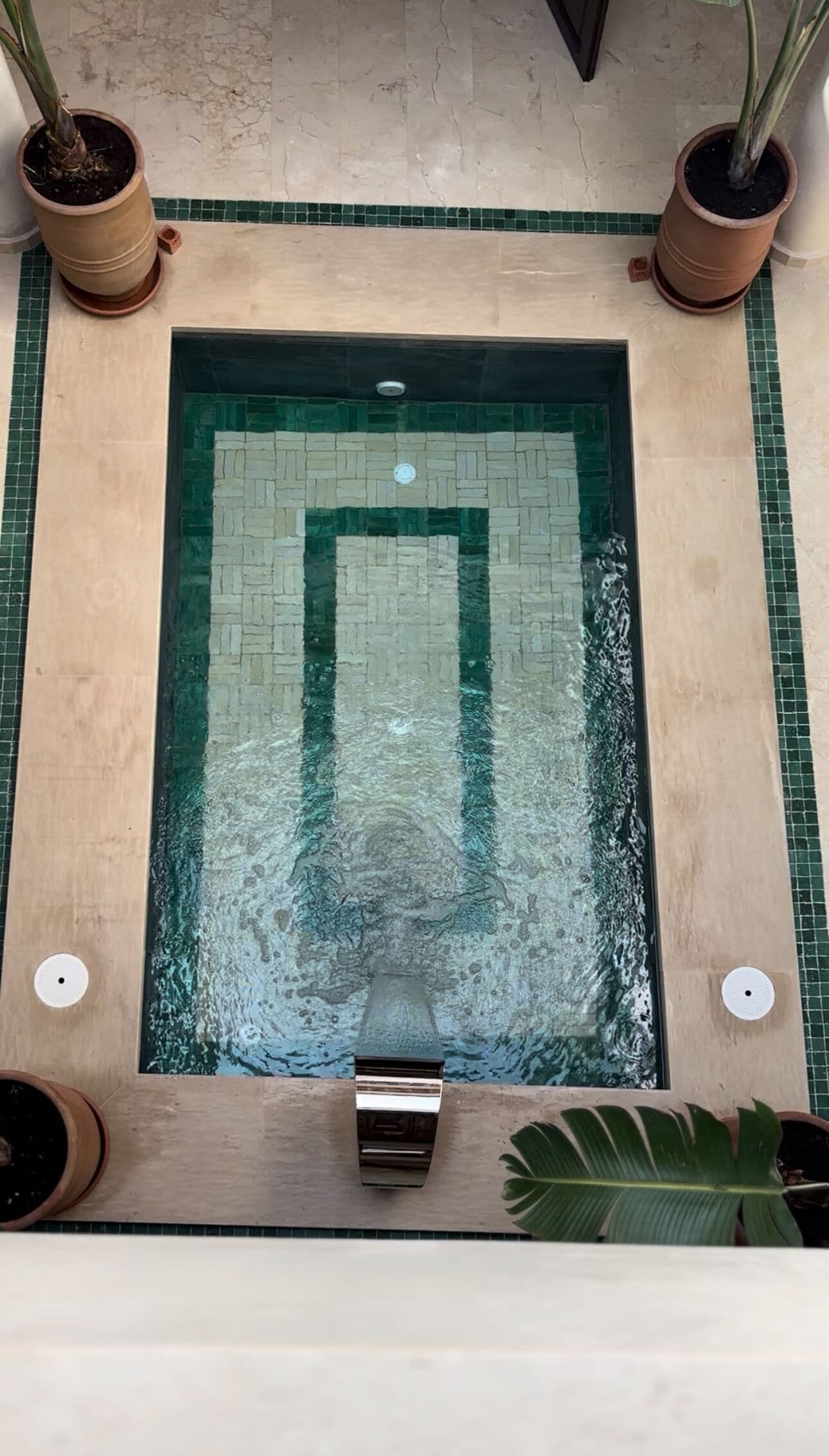 Piscina rectangular con borde de azulejos y desagüe central, rodeada de plantas en macetas.