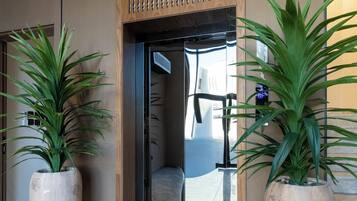 Un hall d’hôtel moderne, agrémenté d’un panneau décoratif en bois, de grandes plantes en pot et d’une porte en verre donnant sur l’intérieur.