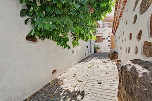 A narrow cobblestone alley with a tree providing shade, a white wall with circular cutouts, and a brick building in the background.