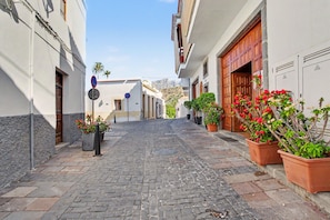 A narrow cobblestone street flanked by buildings with doors and windows, potted plants, and a clear sky.
