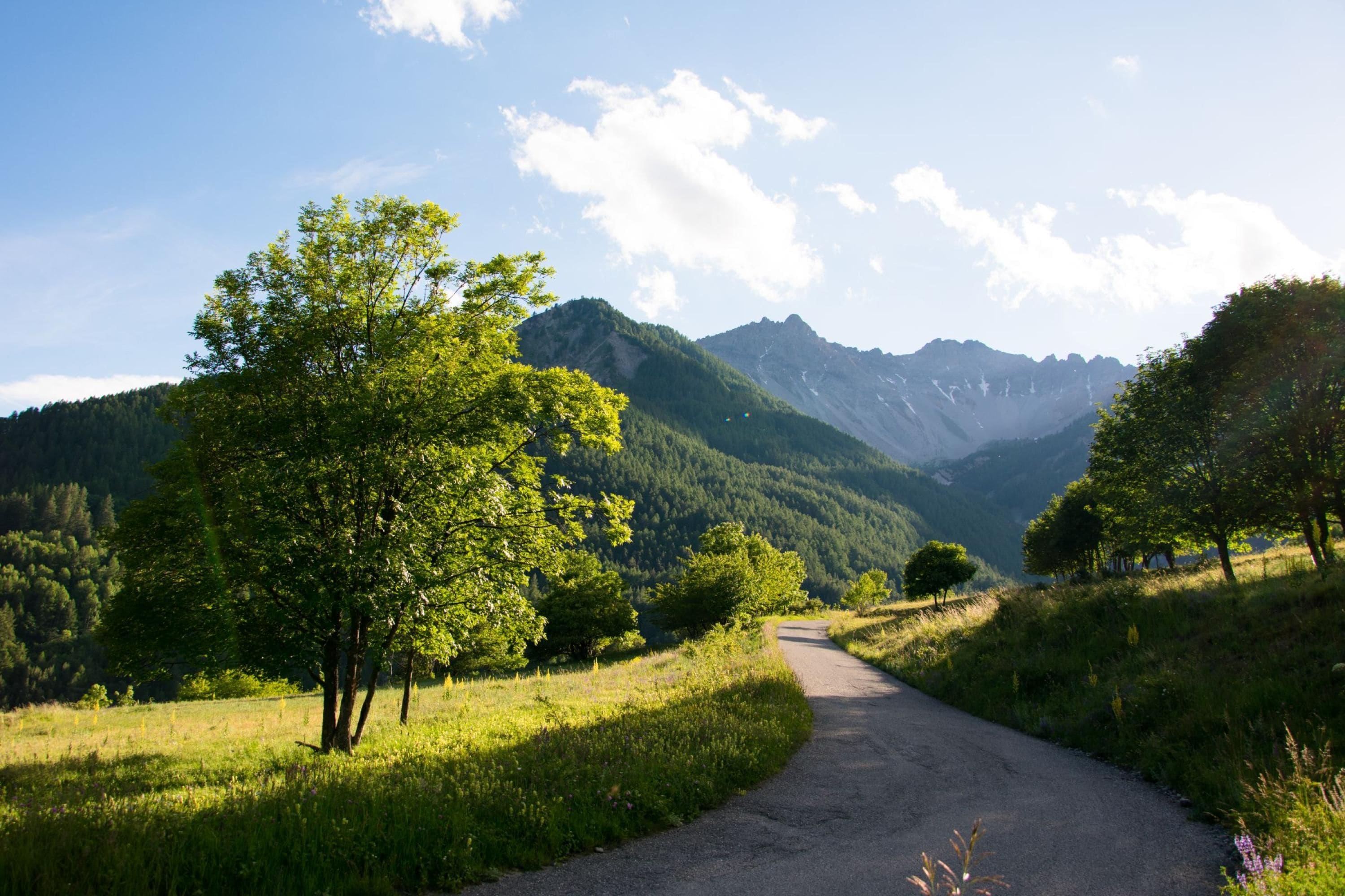 A rural road with trees and mountains in the background.