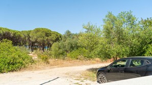 Un coche estacionado en un camino de tierra, con vegetación y árboles al fondo.
