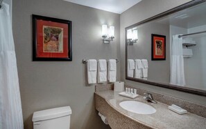 Bathroom - Charming Audacious Augusta Room (Augusta)