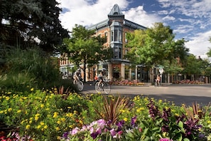 A historic building with a prominent tower, surrounded by a well-maintained garden with various flowers.