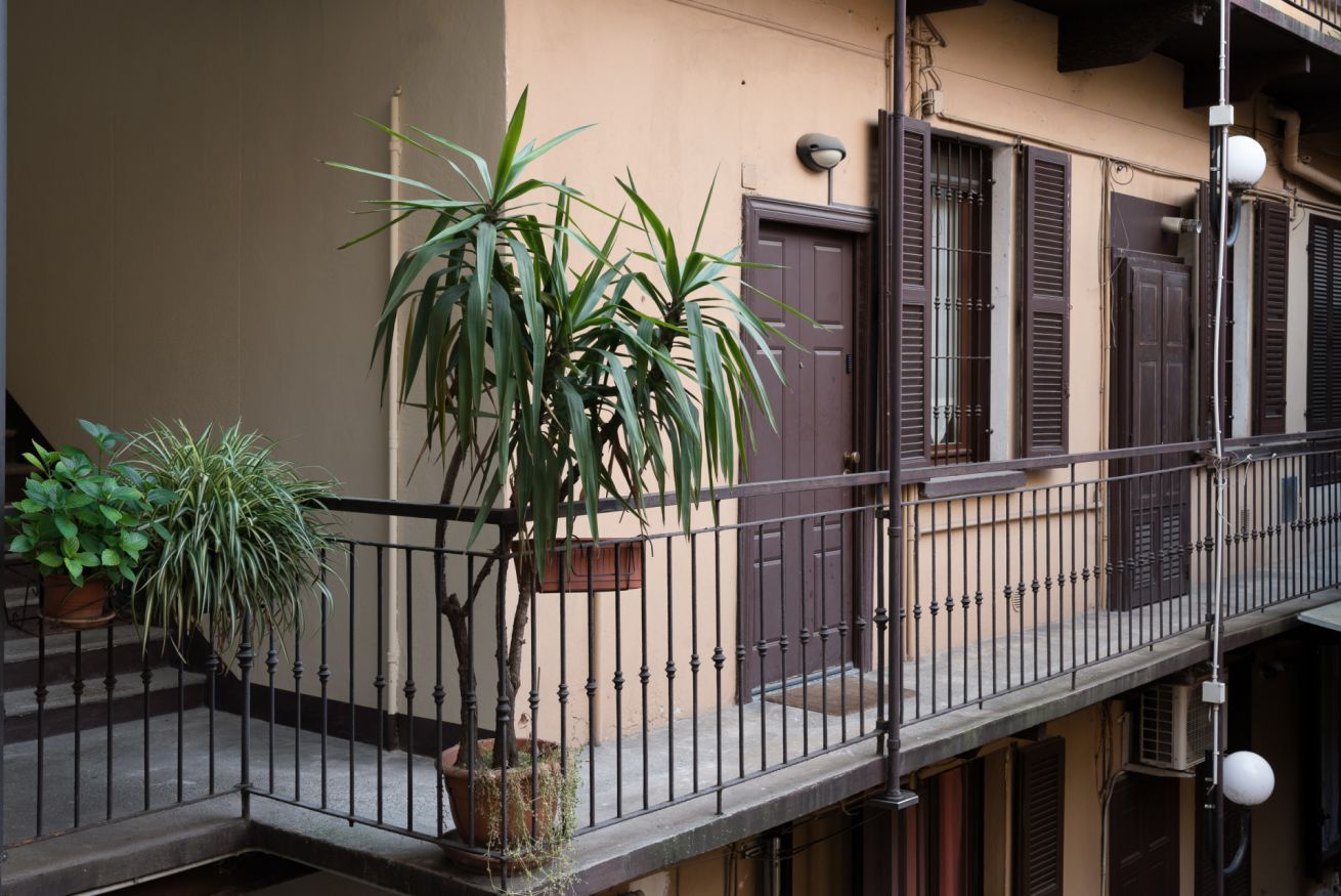 Ein Balkon mit einer Topfpflanze, einem Geländer und einer Gebäudefassade mit Fensterläden.