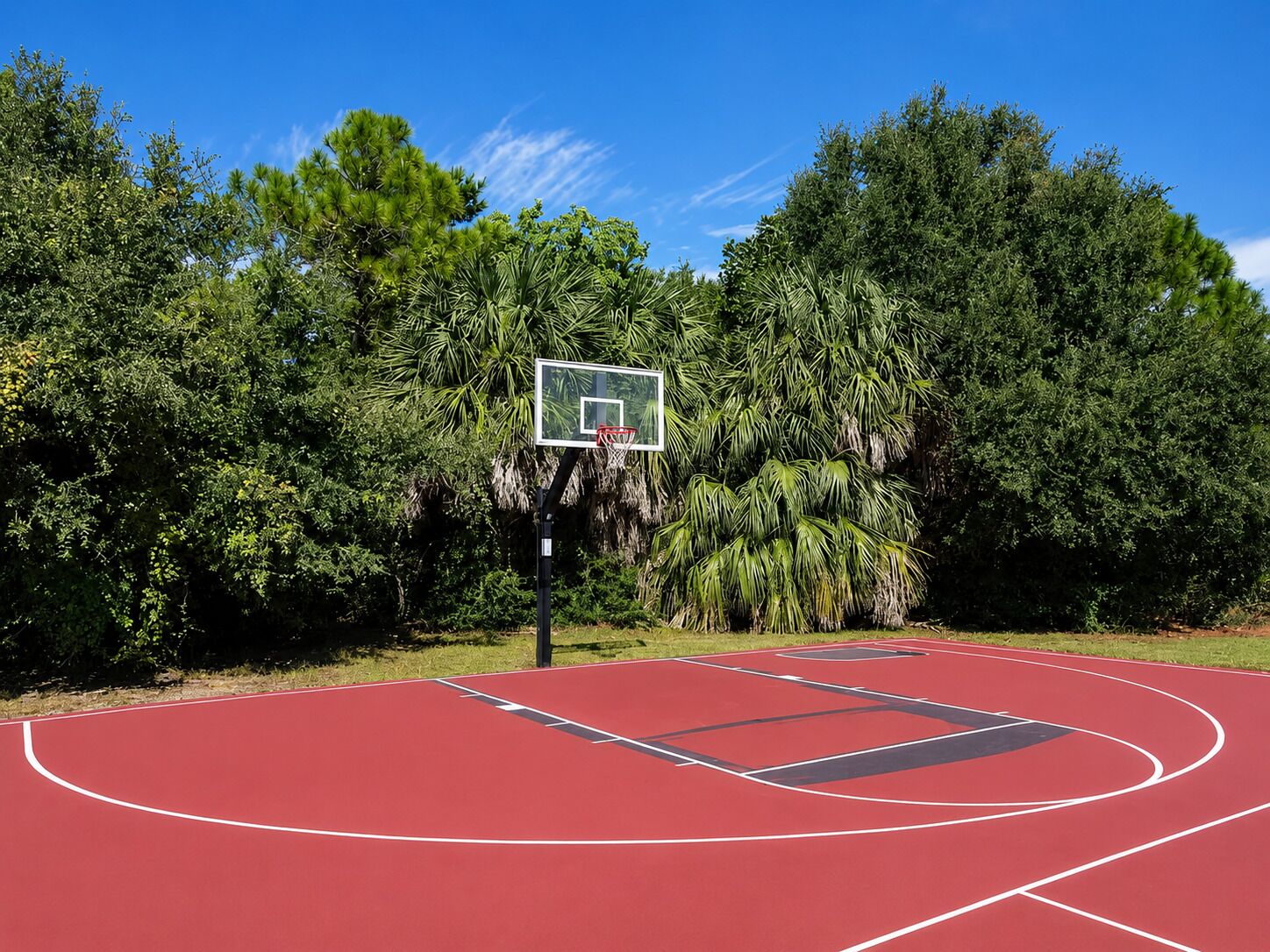 En udendørs basketballbane med kurv, omgivet af frodig vegetation.