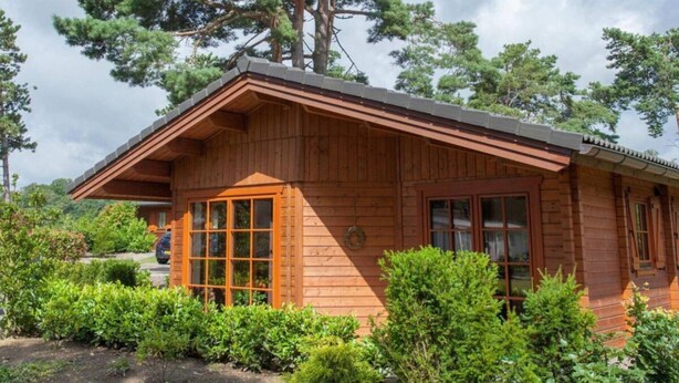 A wooden cabin with a porch, surrounded by greenery. - Boekhorst Royal 6 (Susteren)