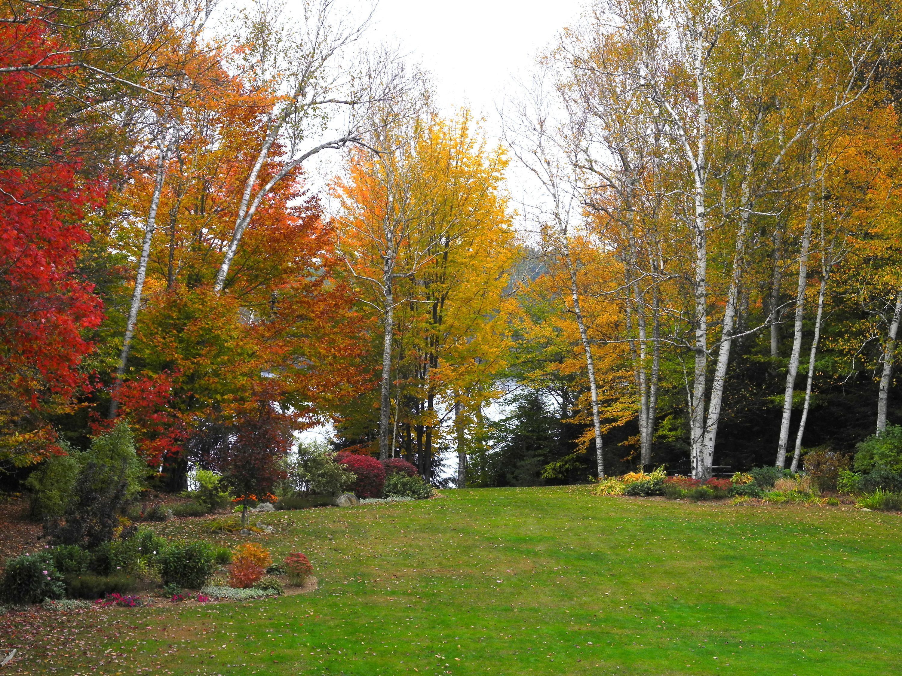 A park with trees displaying autumn colors, a grassy area, and a body of water in the background.