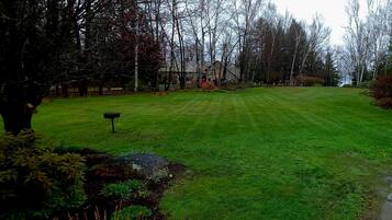 A well-maintained lawn with a mailbox, surrounded by trees and a house in the background.