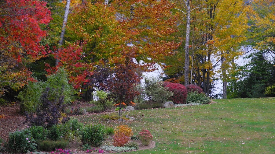 Wilson Lake Inn & Suites