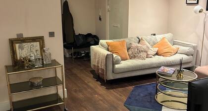 Bright modern apartment minutes from Tottenham Station direct Victoria line