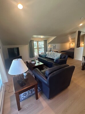 Living area - New Spacious Private Studio - Full Kitchen, AC, Free Parking, Private Entrance (Colorado Springs)