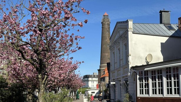 A street with a building featuring a tall tower, outdoor seating, and a tree with pink blossoms. - Stylish OSTEREMS Apartment in STRAND HAUS 10 (Borkum)