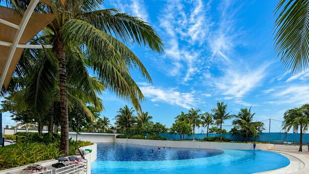 Une piscine à bord incurvé, entourée de palmiers et surplombée d’un ciel dégagé.