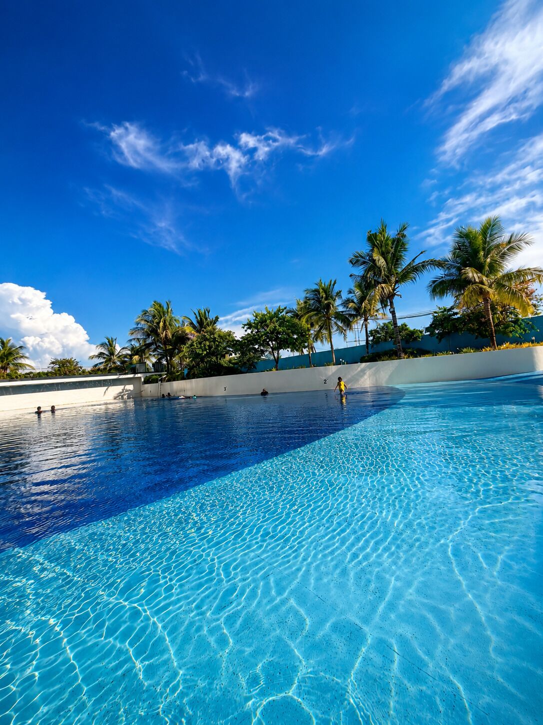 A clear blue pool with palm trees and a white wall in the background.