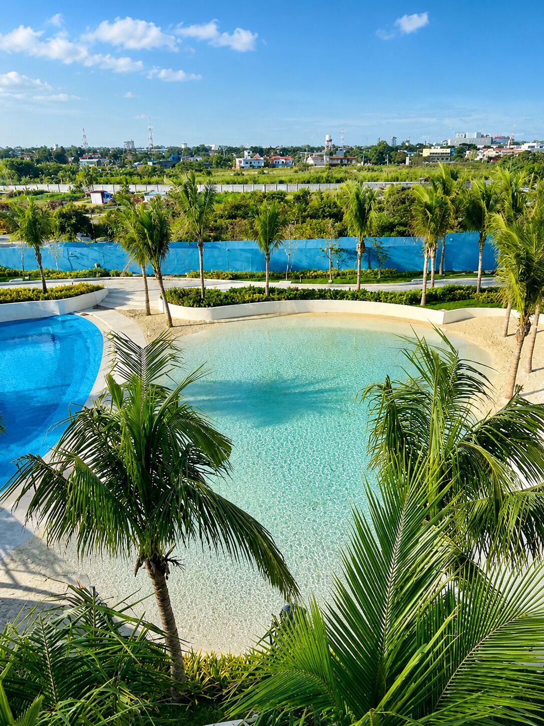 A pool surrounded by palm trees and a clear blue sky.