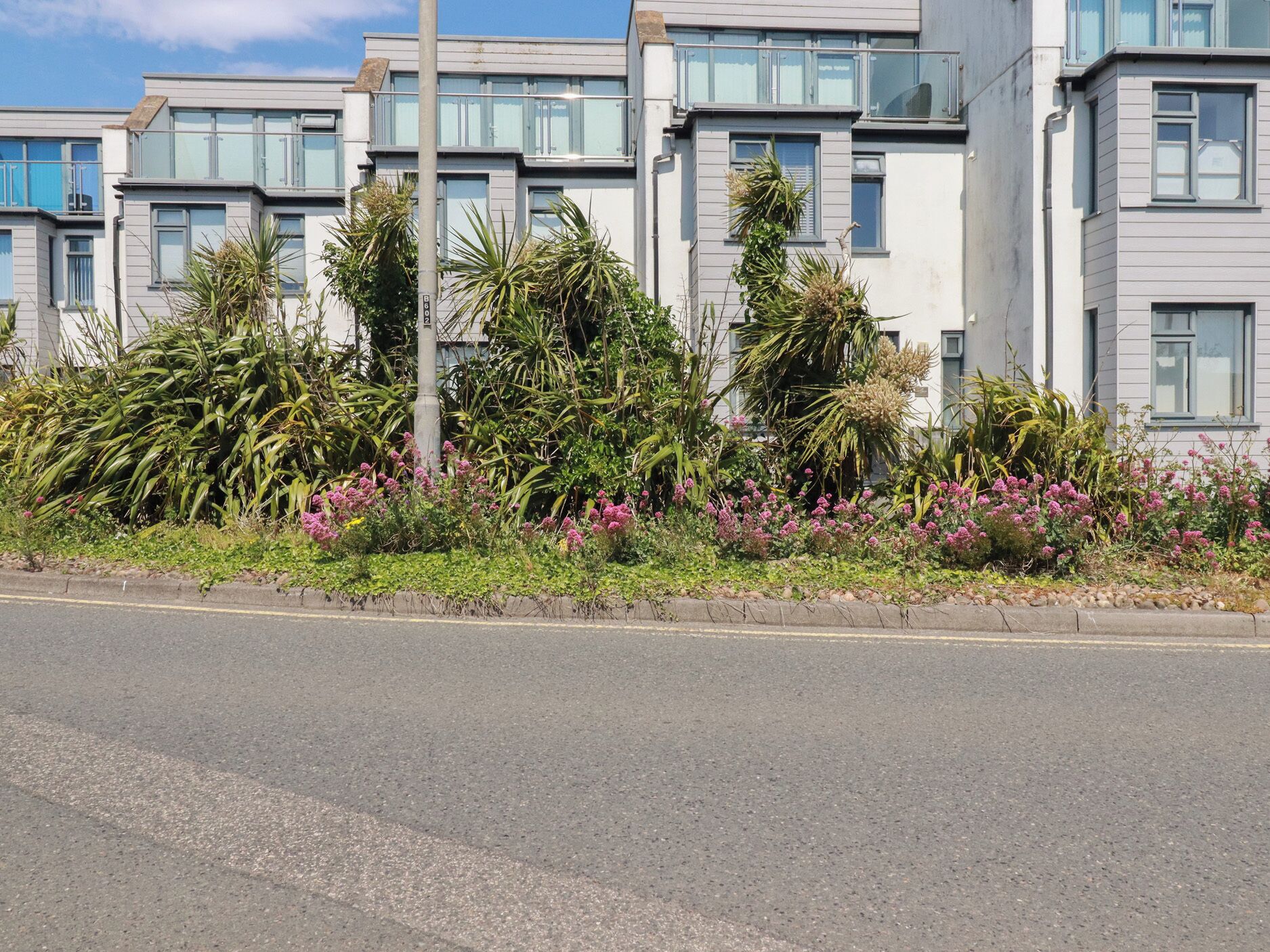 A modern building with multiple windows and balconies, surrounded by lush greenery and flowering plants.