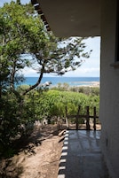 A stone pathway leading to a view of the sea, surrounded by greenery and a wooden fence.