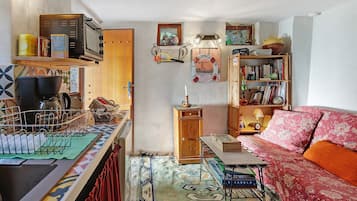 Un espace de vie compact comprenant un coin cuisine, une bibliothèque, un tapis à motifs et un canapé recouvert d’un tissu à fleurs.