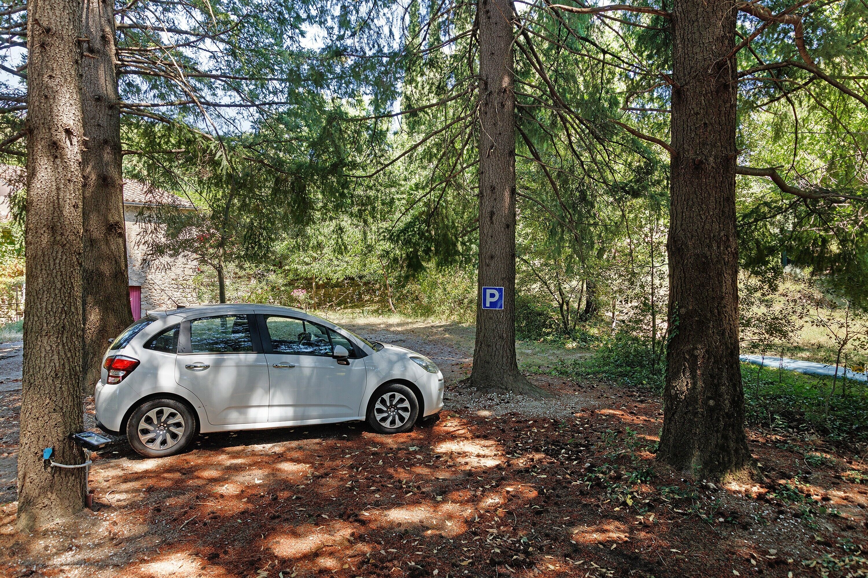 A white car parked in a forested area with a parking sign.