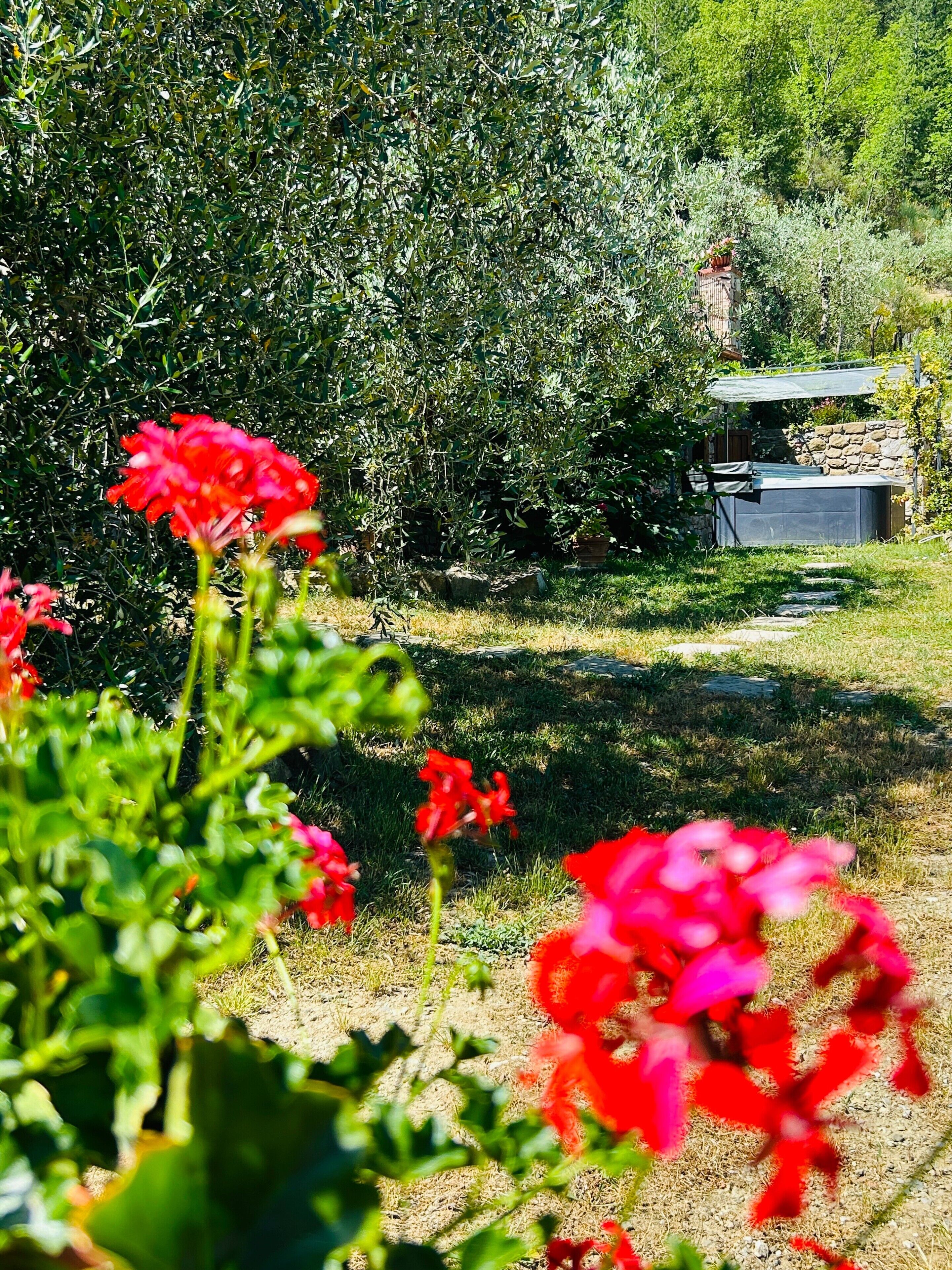 Jardines del alojamiento